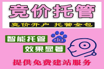 案例研究：关键词竞价排名实战技巧